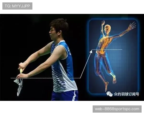 发球五秒违例快速判定，一分钟让你看懂具体规则